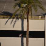 Laughlin_0121 (April 22, 2013)